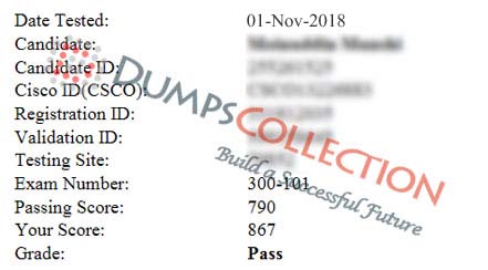 300-101 dumps